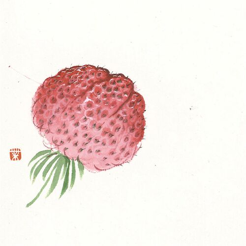薛继业水墨连框高精版画50*30加菲猫草莓有框客厅卧室卫生间走廊