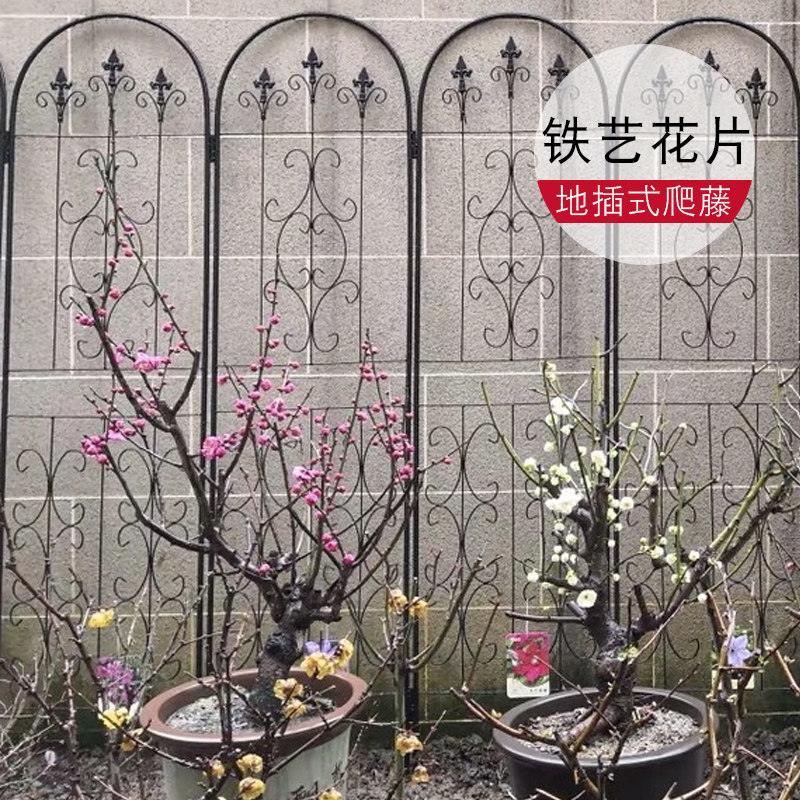 花架爬藤架栅栏屏风植物攀爬架铁线莲阳台花园户外藤架牵牛花支架