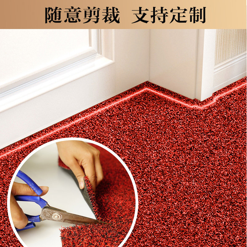 脚踏垫大门入户门地垫入门蹭土门垫门口地毯进门防滑垫子家用定制