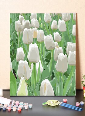 数字油画diy填充手工浪漫白色郁金香花填色手绘涂色丙烯油彩画画