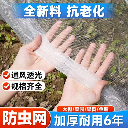 防虫网大棚专用纱网60目加厚尼龙农用防蚊鸟养殖场种蔬菜果树网罩