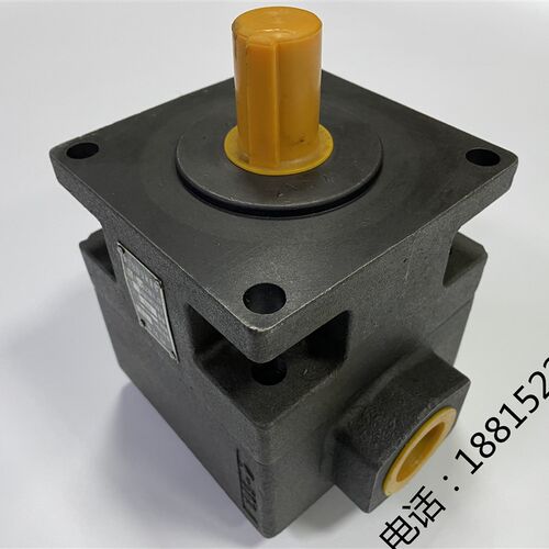平面磨床油泵M7130 叶片泵YB1-100杭州 M7132B M7140液压泵 M7160