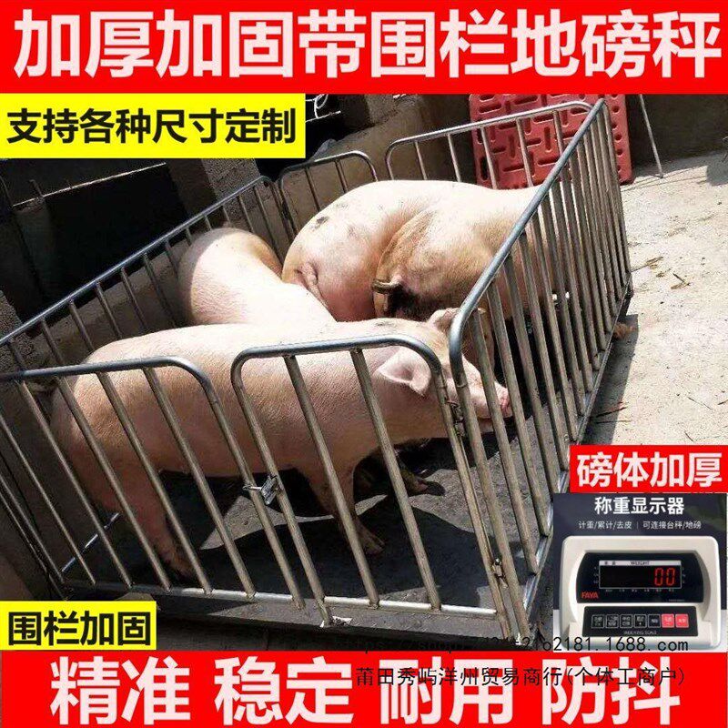 电子地磅秤称猪牛地磅称猪用电子秤3吨小型地磅加厚带围栏垒德株