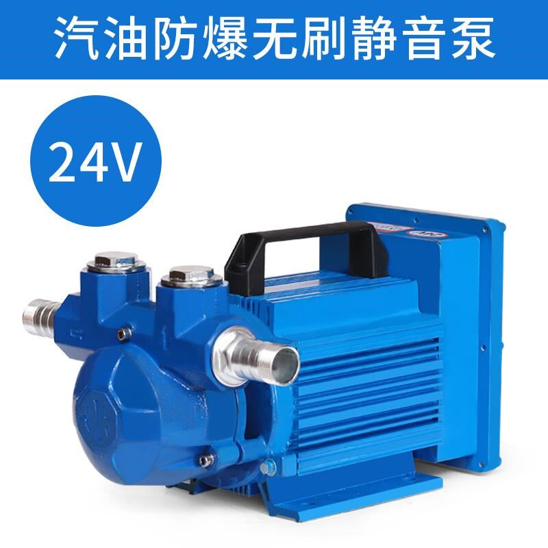 新款电动抽油泵柴油汽油煤油12V24V220V定量计量车载手提大流包邮
