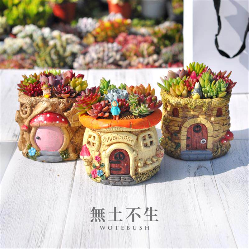 無土不生多肉成品组合盆栽创意绿植多肉组合带盆种好发教师节礼物
