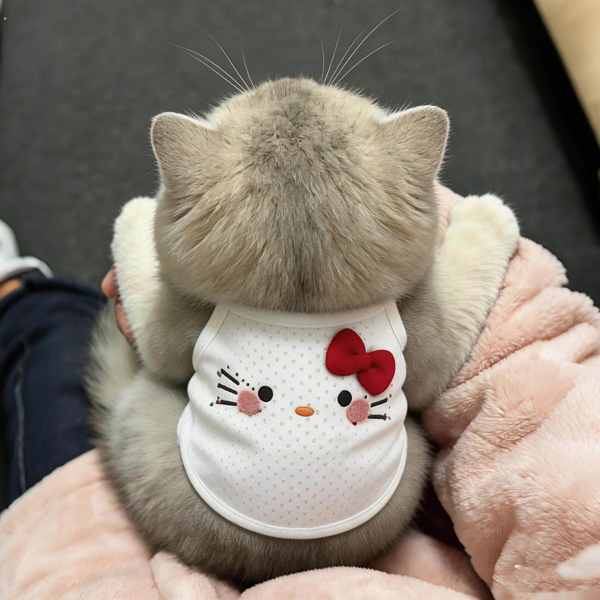 猫咪衣服防掉毛夏季薄款透气网眼蝴蝶结背心无袖吊带狗狗凉凉衣.