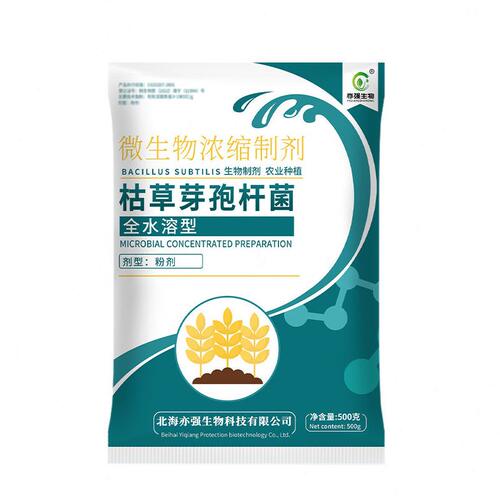 甄选全水溶枯草芽孢杆菌作物枯萎青枯烂根姜瘟根腐根生根壮农用种