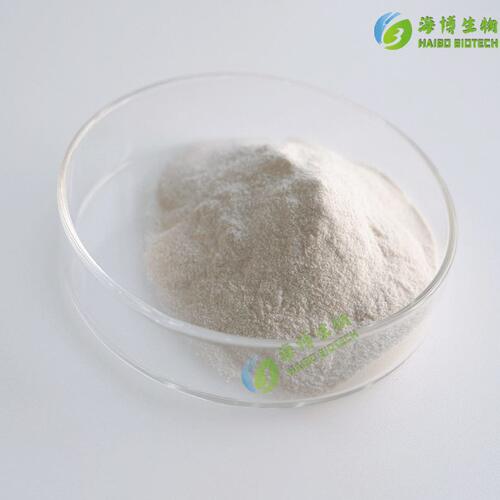 甄选纳豆激酶20000FU/g 纳豆提取物 纳豆发酵物 纳豆菌 100g/袋