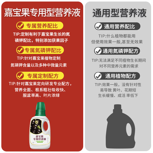 番茄营养液圣女果小番茄肥料催果结果有机肥盆栽西红柿专用肥料