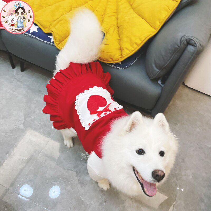 【小尾巴宠物】中大型犬大狗狗保暖两件套新年圣诞可爱娃娃裙衣服