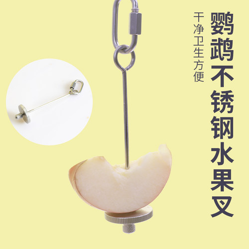 鹦鹉不锈钢水果叉喂养水果蔬菜专用叉子喂食啃咬玩具鸟笼配件用品