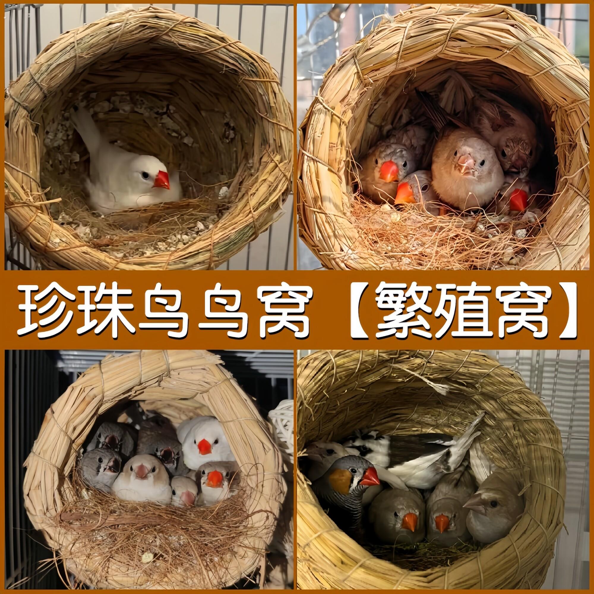 珍珠鸟鸟窝四季通用鸟巢草窝文鸟繁殖窝箱鹦鹉小鸟睡觉窝用品大全
