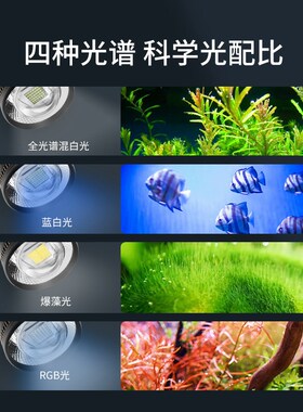 led鱼缸灯爆藻灯夹灯水族箱照明灯水草灯鱼缸筒灯暴吊灯溪流缸灯