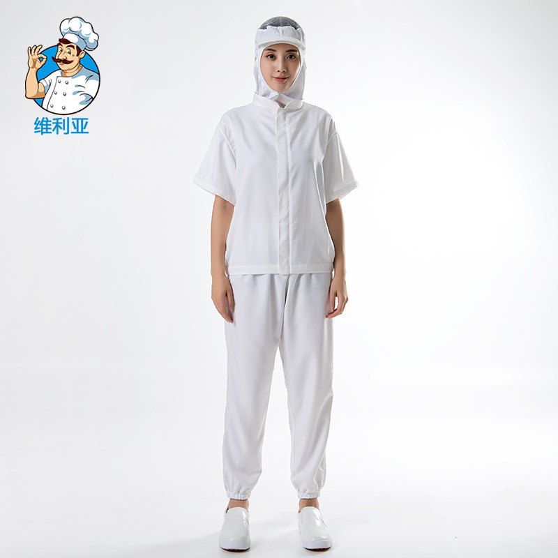 中央厨房白色防护工服男女通用成人防掉发夏季短袖食品厂工作服