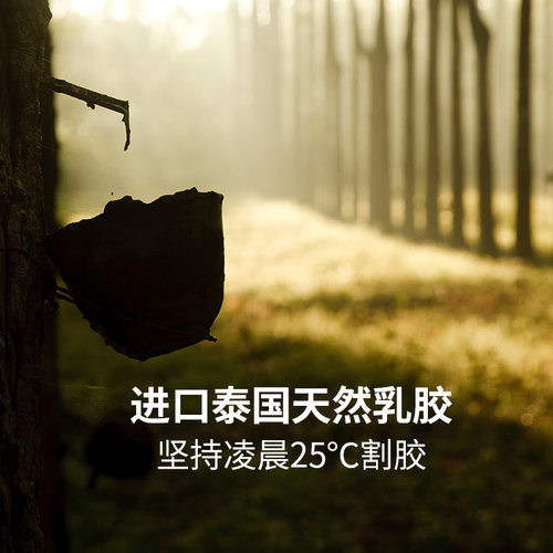 加长款儿童天然乳胶枕头幼儿园小学生男女童3-6-10岁枕芯卡通低枕