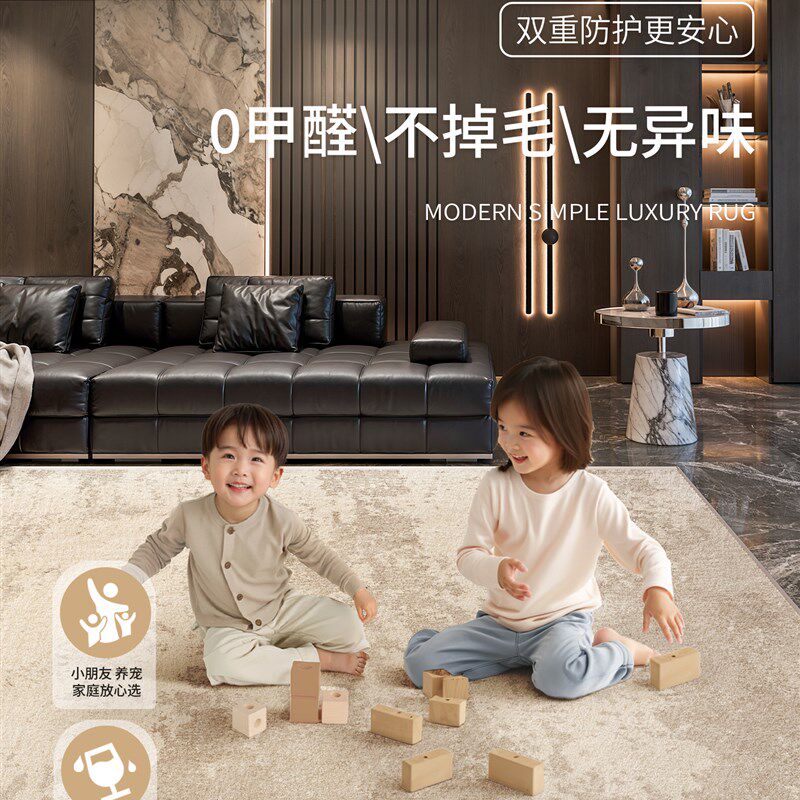 地毯客厅2025新款意式极简轻奢高级感简约沙发卧室家用大面积地垫