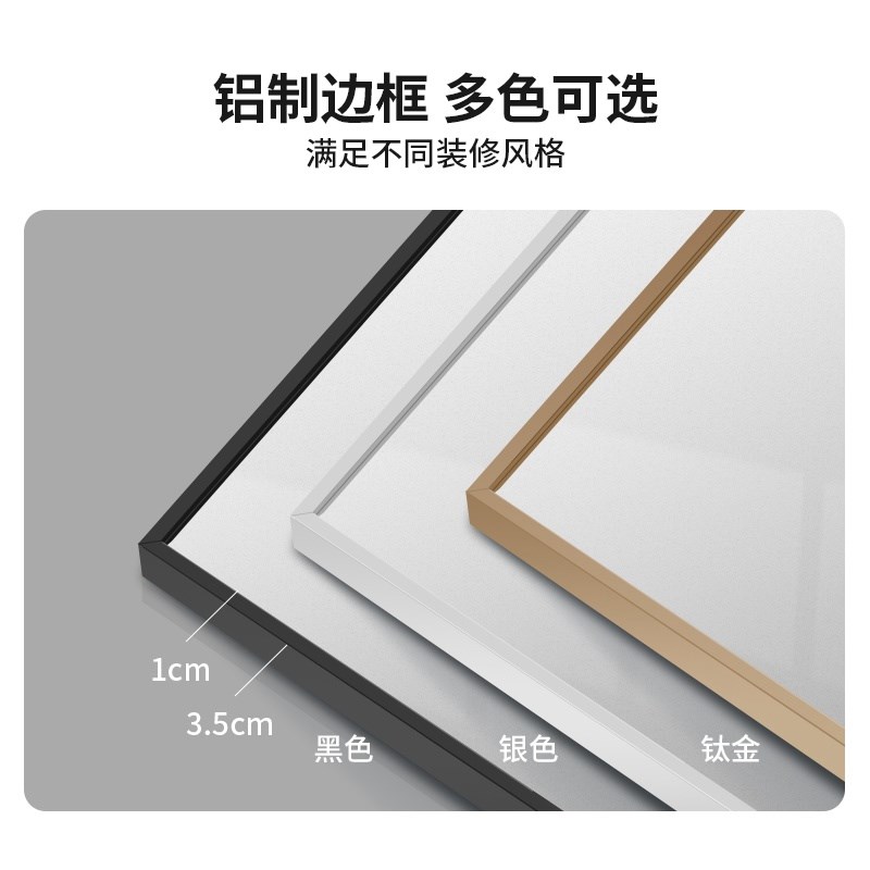 全身镜壁挂式穿衣镜落地客厅卧室家用入户门口超白舞蹈镜试衣镜子