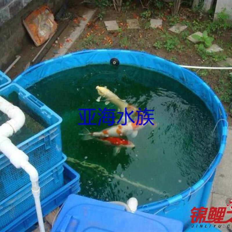 锦鲤可折叠鱼池鱼缸水池暂养池比赛养鱼缸生态龟缸鱼苗龟箱
