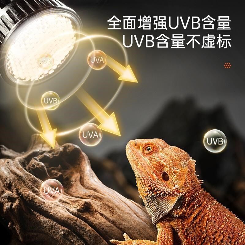 全光谱小乌龟晒背灯攀爬宠物专用照背灯补钙uva取暖uvb加热保温灯