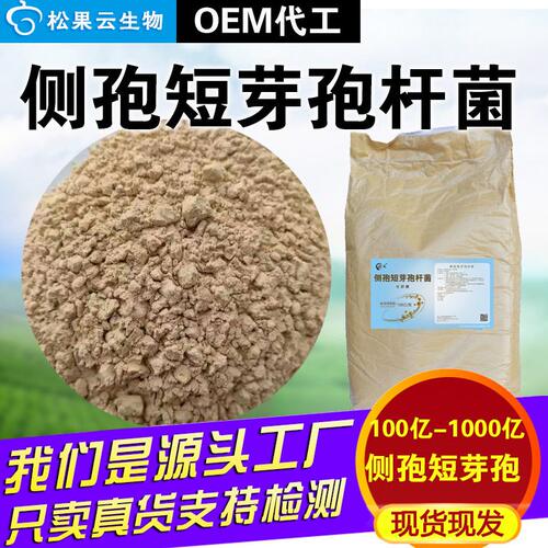 甄选100亿--1000亿侧孢短芽孢杆菌生根壮苗抑制蓝藻裸藻侧孢芽孢
