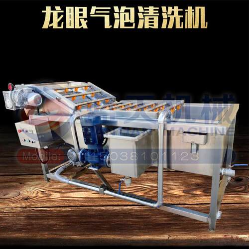 龙眼气泡清洗机 桂圆气泡翻浪清洗机 多功能气泡清洗机厂家热销