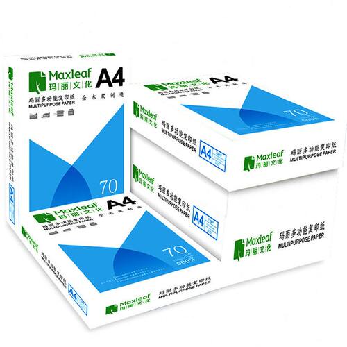 甄选玛丽A4复印纸打印白纸70g整箱5包装a4纸500张a4打印用纸80g公