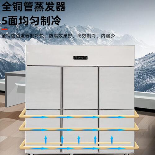甄选四门冰柜家用全冷冻保鲜厨房保鲜柜不锈钢双温冷藏立式冰箱商