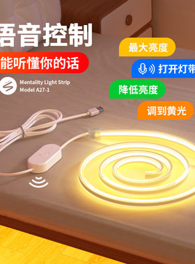 智能语音灯edl带低床5v卧室压头氛围灯客厅电视背景墙自粘usb灯条
