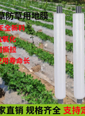 化白保温湿除草黑色用色地膜果园老农大棚银黑膜草莓种植塑料薄膜