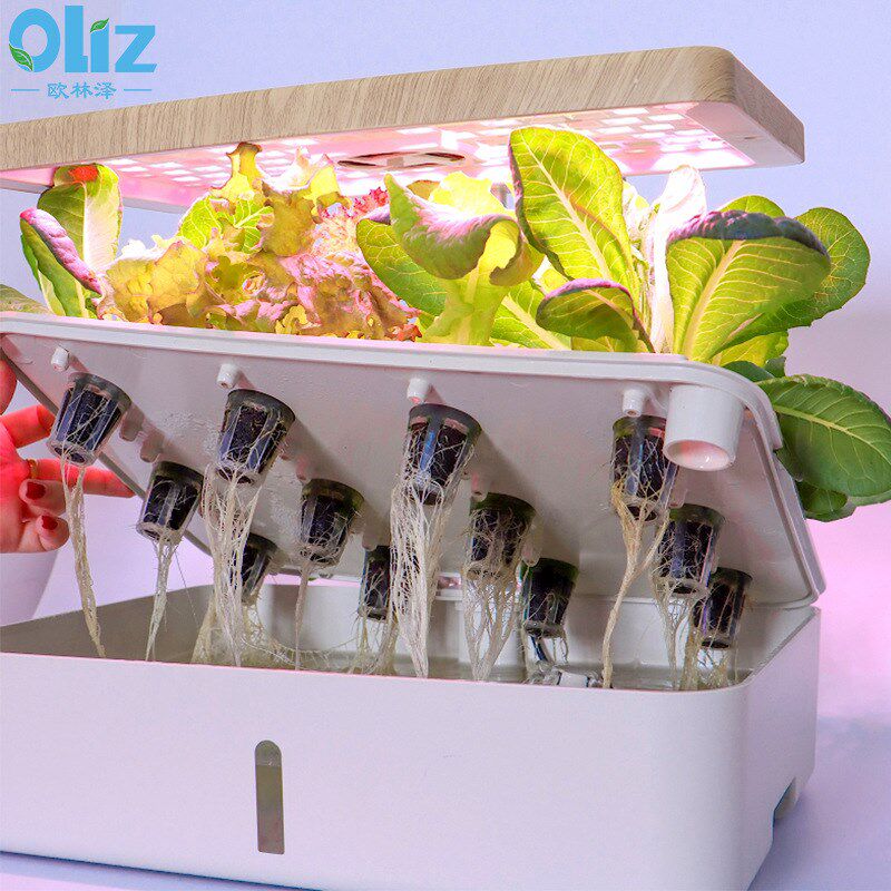 设备水培植物育苗种菜种植箱花卉智能小花盆厂家室内无土栽培蔬菜