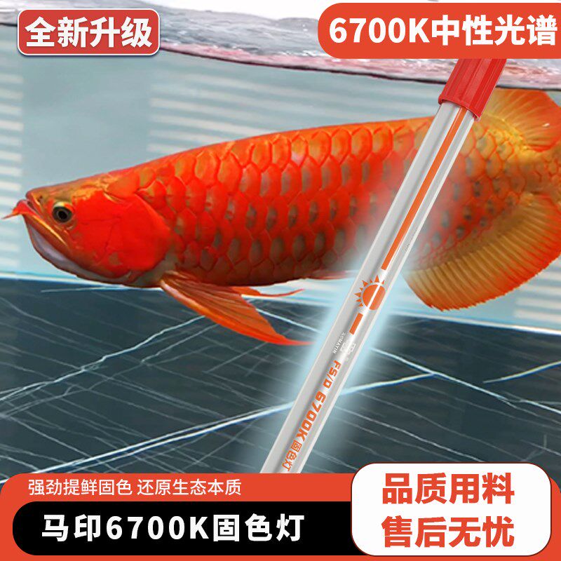 马印鱼缸灯nec6700k龙鱼专用发色灯T5灯管金红龙灯2700k烤色灯