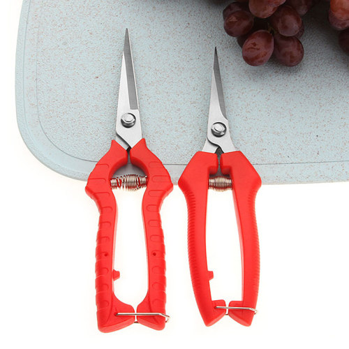 果蔬剪刀园艺剪树枝剪花椒摘果剪葡萄水果修枝剪家用不锈钢剪刀