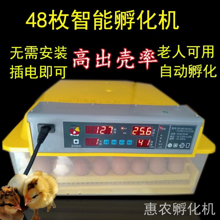 惠农电辅小鸡器鹅蛋卵化机抱蛋鸡噗小鸡机器恒温孵化器出壳小鸡苗