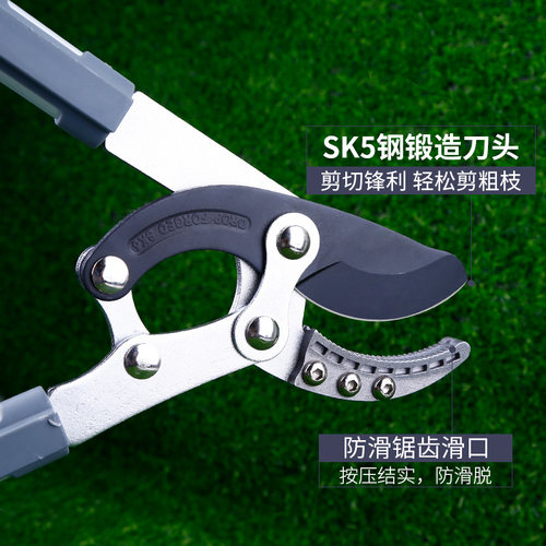 大力剪花剪大省力园艺工具园林剪刀果树修剪树枝强力修枝剪粗枝剪