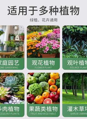 贝可施花卉除污剂一喷净植物叶面光亮清洁洗剂旗免稀释叶面肥料