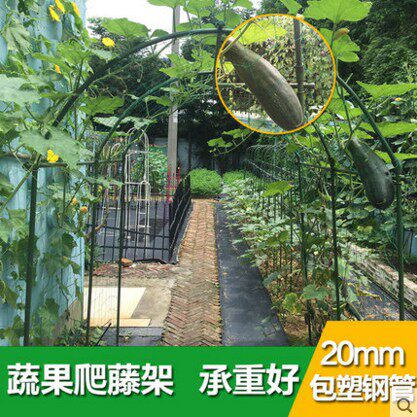 包邮弯顶拱形爬藤花架户外阳台黄瓜百香果葡萄架带网简易攀爬架