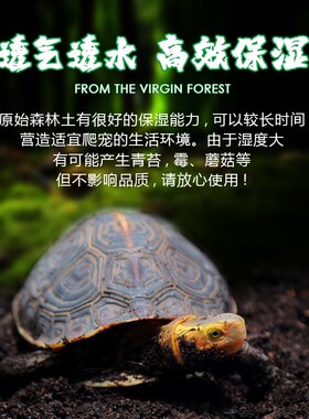 SuperRep爬宠垫材森林土爬虫陆龟箱雨林蛙蜥蜴饲养盒无菌吸味降解