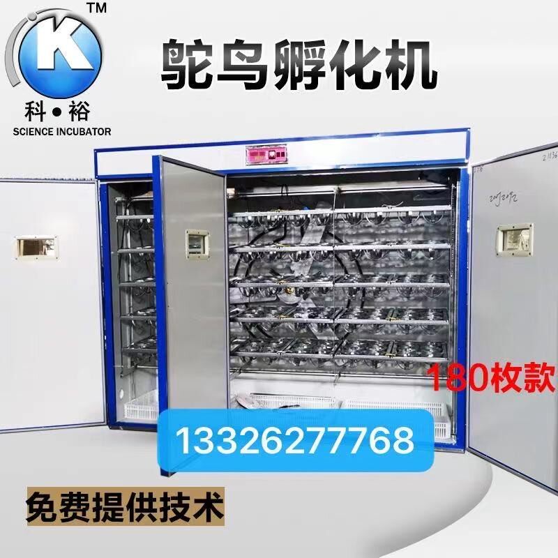 科裕鸵鸟孵化机全自动家用孵化器鸵鸟蛋专用智能卵化器