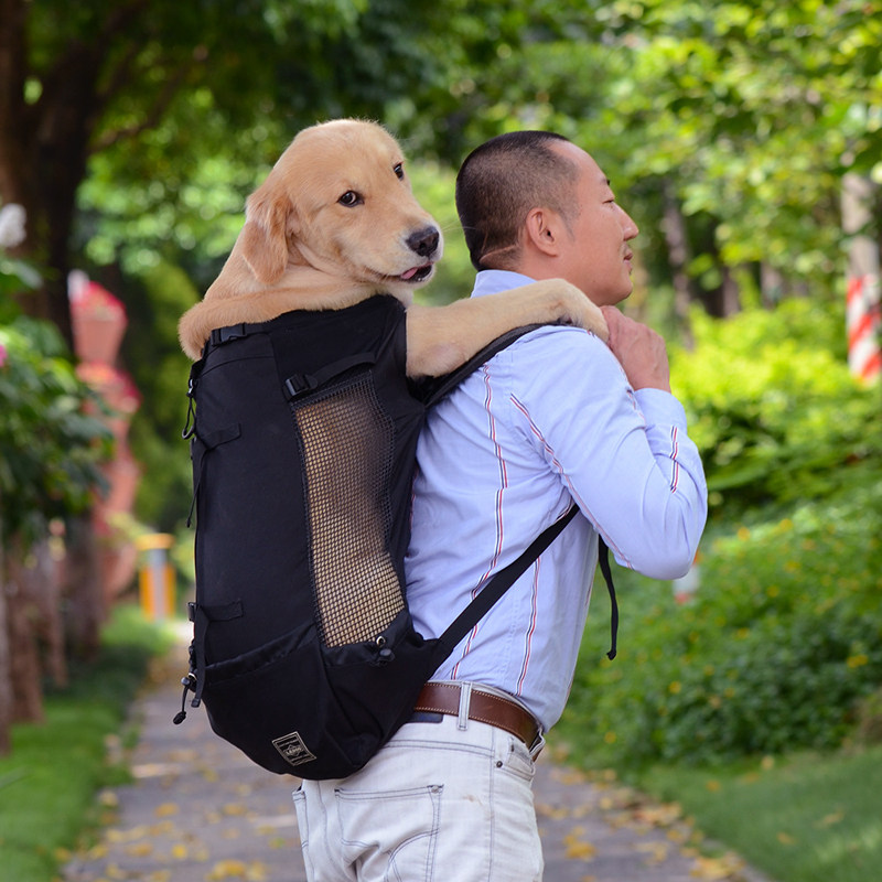 宠物大狗狗背包柴犬柯基金毛法斗大型犬外出包便携胸前大号双肩袋