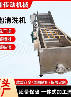 果蔬气泡清洗机番茄辣椒秋葵清洗设备不锈钢大型喷淋气泡洗机