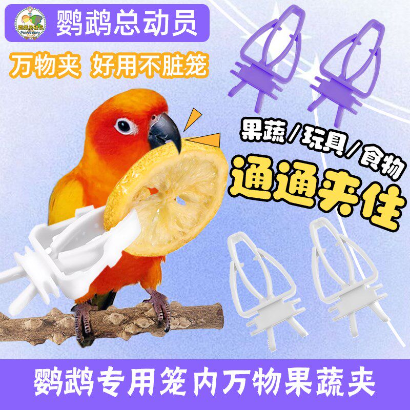 鹦鹉水果挂钩夹子叉子墨鱼骨固定蔬菜零食鸟笼夹多功能鹦鹉玩具