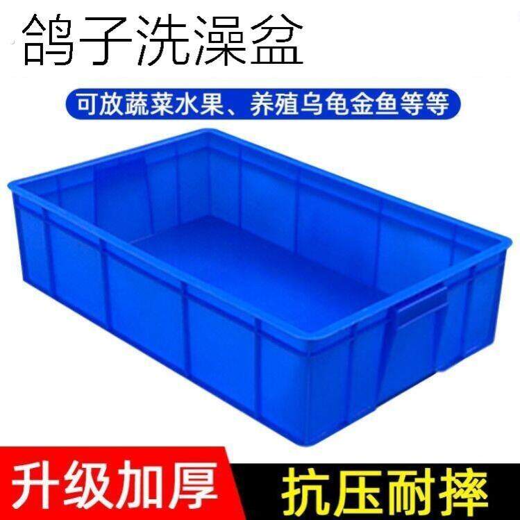 鸽子洗澡盆信鸽用品浴盆鸽舍专用加厚栖架站架塑料盆大号养殖周转