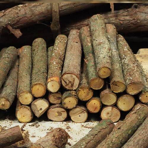 柴火木头户外烧烤野炊露营烧火柴硬木耐烧杉树木柴木头篝火干柴硬