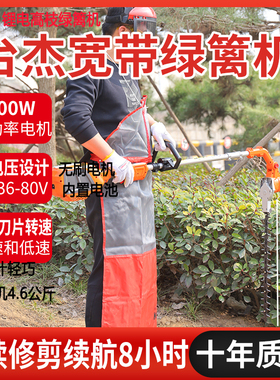 新款背负式锂电充电式小型加长型电动高枝绿篱机大功率园林修剪