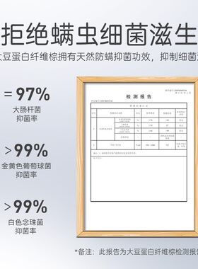 八益床垫 大豆蛋白纤维儿童硬垫1.2米薄定制经济型家用榻榻米棕垫