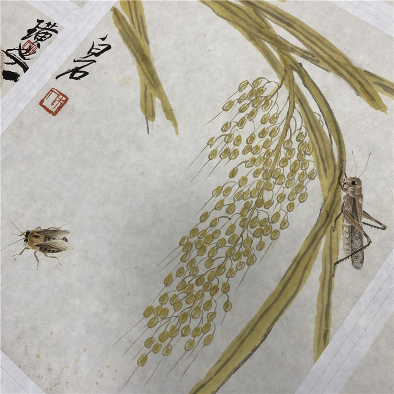 齐白石可惜无声花卉昆虫工笔画册页十二张微喷复制装饰画学习临摹