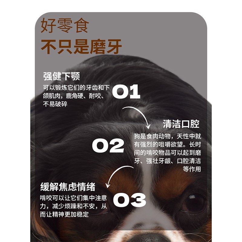 猎食小镇俄罗斯马鹿鹿角狗狗磨牙洁齿耐啃耐咬口腔清洁磨牙棒零食