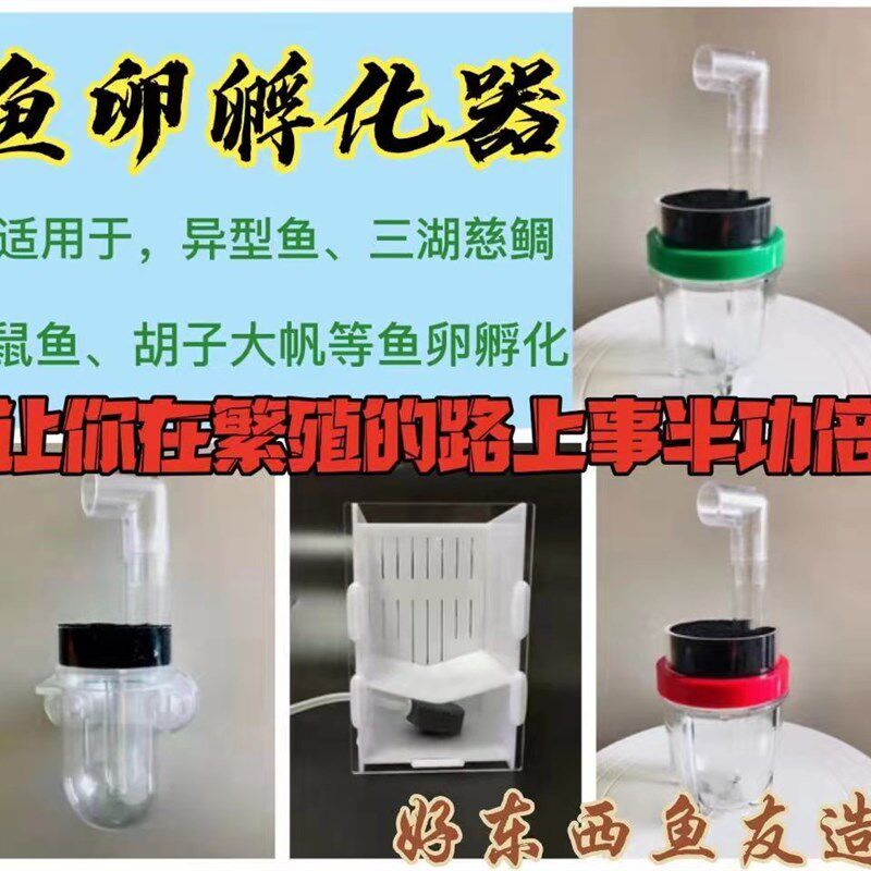 胡子迷宫雪球卵生鱼孵化器亚克力繁殖盒三湖慈鲷反气举鱼卵孵化器