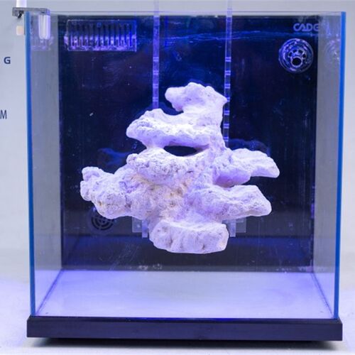 海水缸免爆藻快速开缸培菌造景石人造活石海缸珊瑚造型石