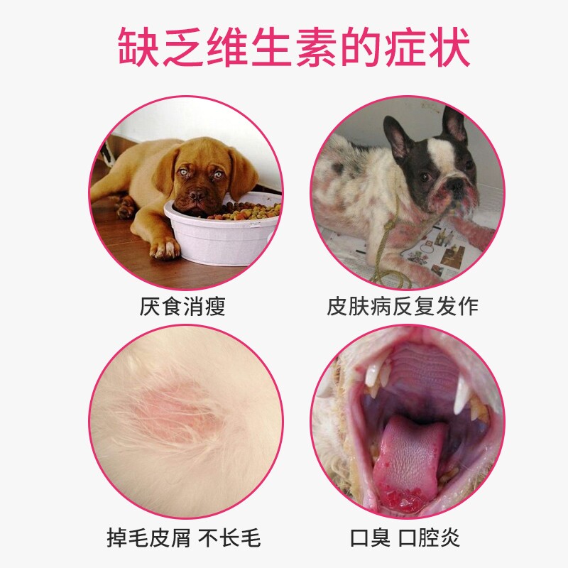 菩施康b族维生素片宠物猫咪狗狗复合维生素b猫狗掉毛皮屑猫癣护理